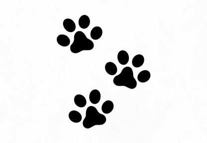 3 Cat Paw Prints