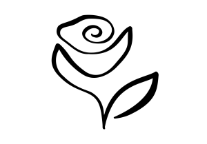 Rose Single Line Sketch Decal