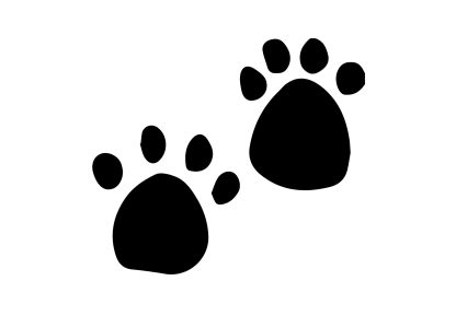 Cat Walk Paws Drawing Decal