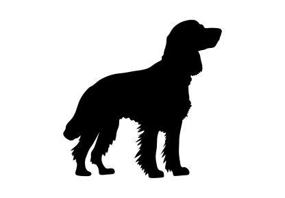 English Springer Spaniel Dog Decal