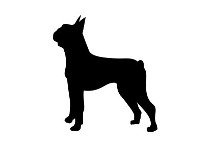 Boston Terrier Dog Decal