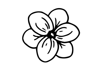 Mini Floral Line Illustration Decal